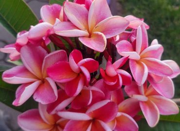 WhatsApp Image 2025-09-23 at 10.00.30_dc7a6f97